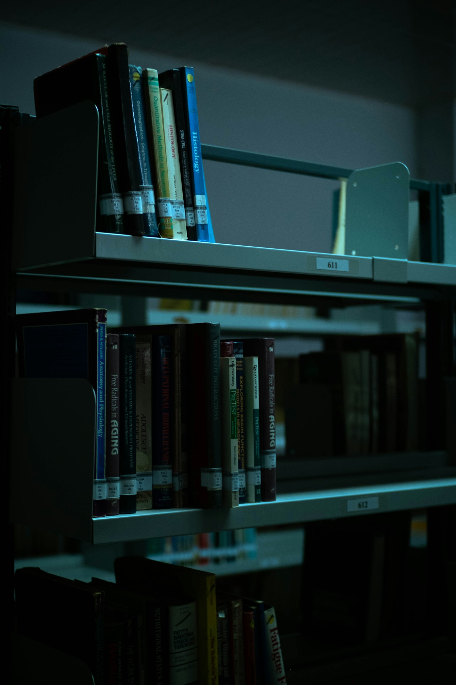 Academic library with scholarly books and research materials representing editorial excellence